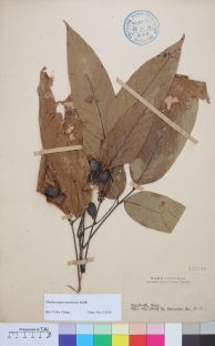 Specimen thumbnail